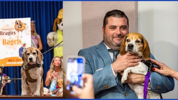 E-news Updates – May 10, 2025
