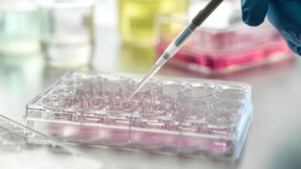 E-news Updates – January 31, 2026