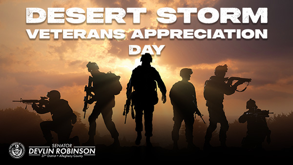 White text that says “Desert Storm Veterans Appreciation Day” with the silhouettes of 6 soldiers holding guns.